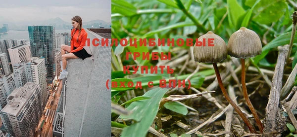 тгк Вязники