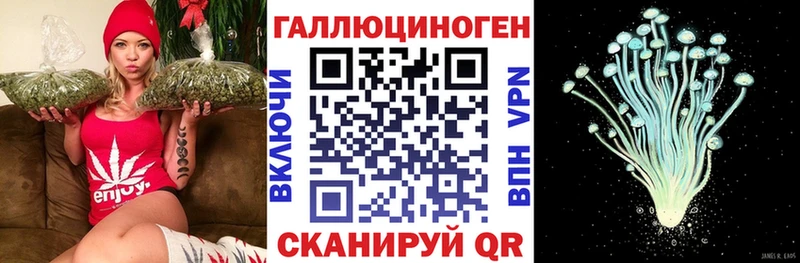 блэк спрут зеркало  Ногинск  Галлюциногенные грибы прущие грибы 